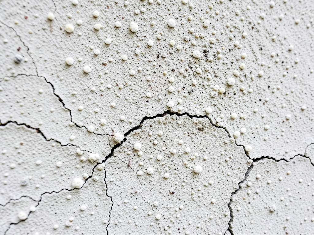 Why Standing Water in Your Ben Ali Backyard Is a Warning Sign for Your Foundation
